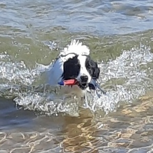 Fundraising Page: Maureen Grady